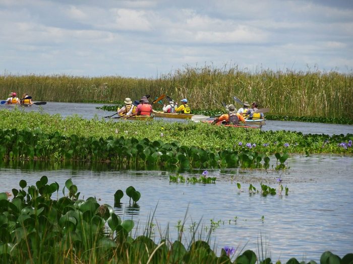 Esteros del Iberá — kayaks